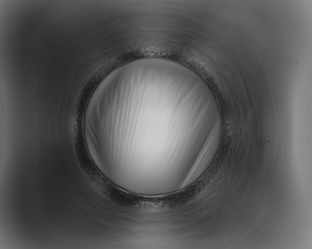 X0000088920690200706291527
