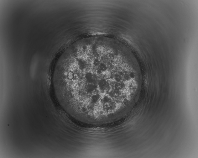 X0000088920691200706291527
