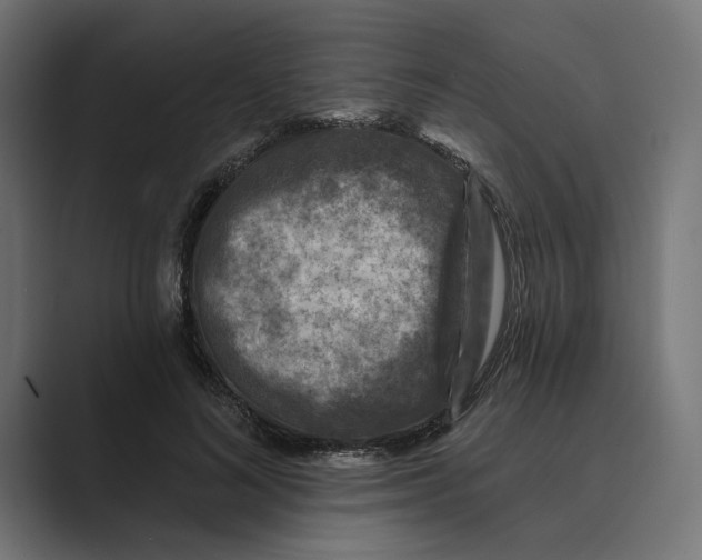 X0000088920692200706291527