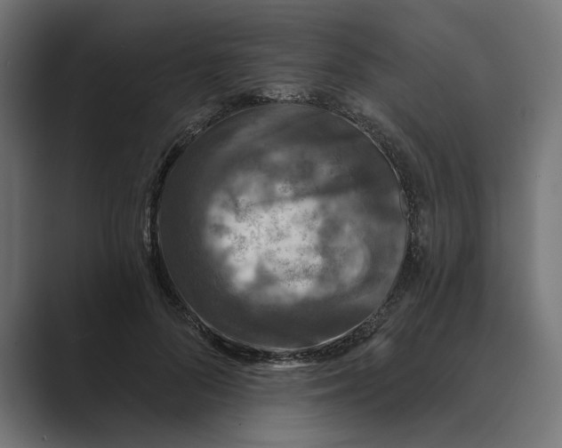 X0000088920696200706291527
