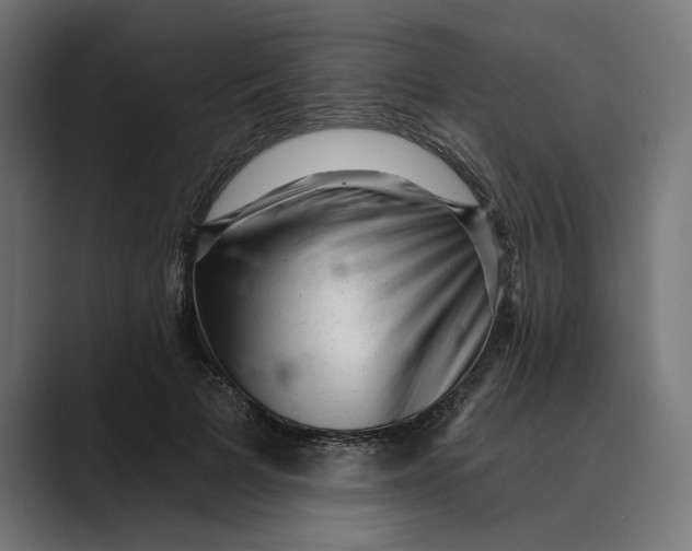X0000088920697200706291527