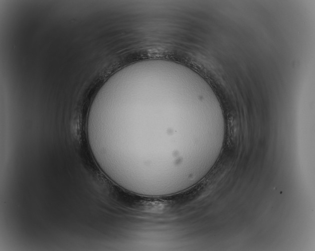 X0000088920698200706291527