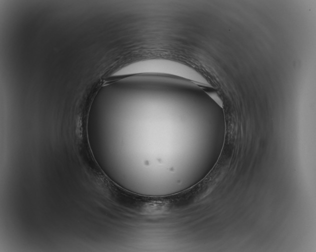 X0000088920700200706291527