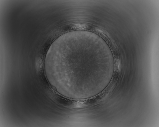 X0000088920701200706291527