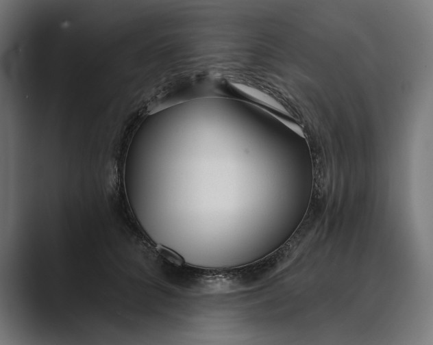 X0000088920704200706291527
