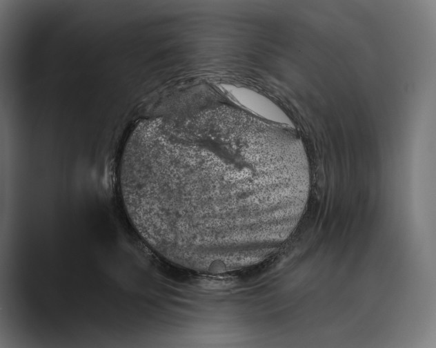 X0000088920707200706291527