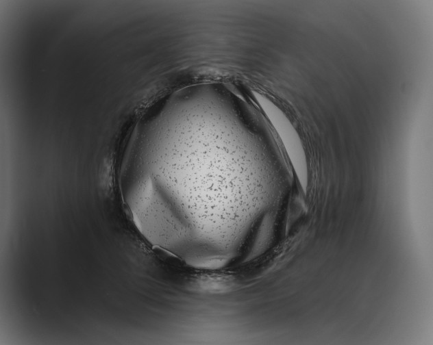 X0000088920708200706291527