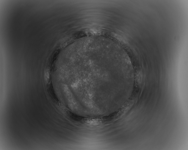 X0000088920709200706291527