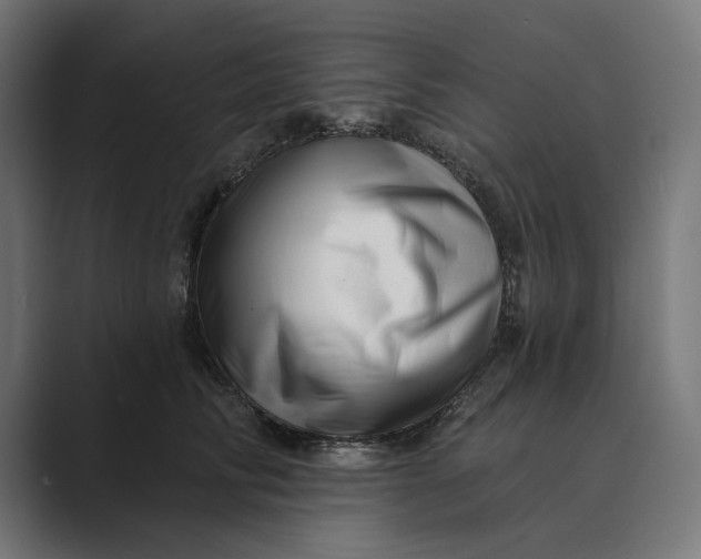 X0000088920710200706291527