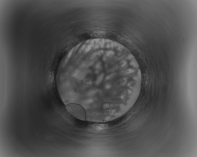 X0000088920711200706291527