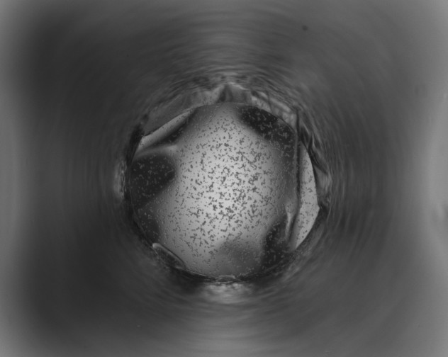 X0000088920712200706291527