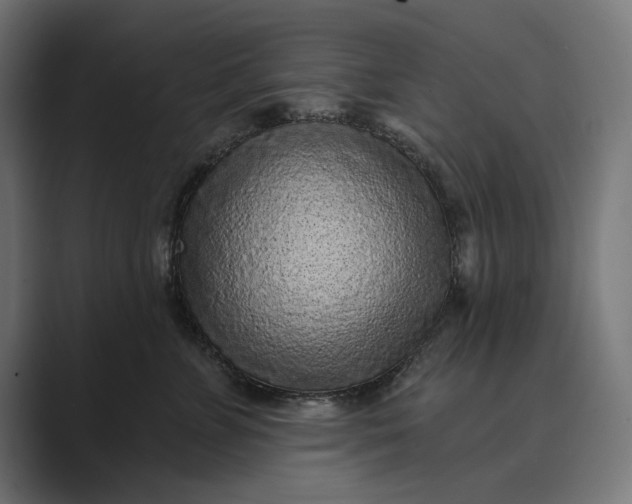 X0000088920715200706291527