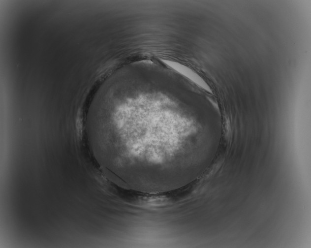 X0000088920716200706291527