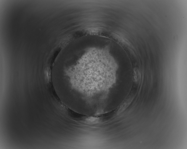 X0000088920718200706291527