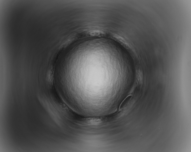 X0000088920719200706291527