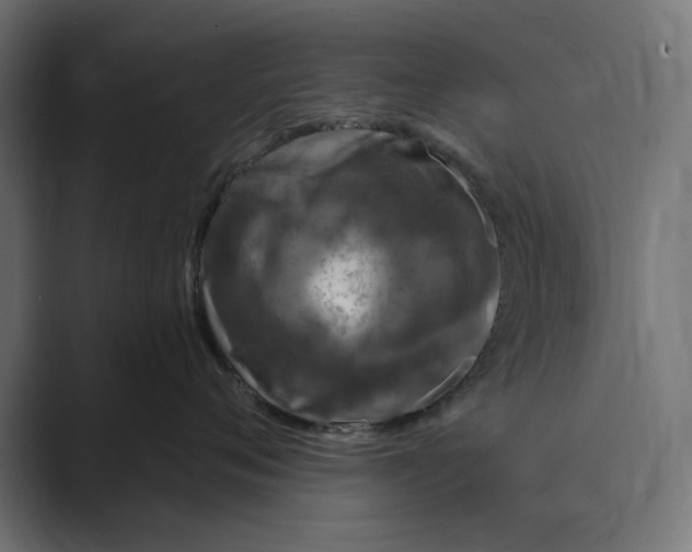 X0000088920720200706291527