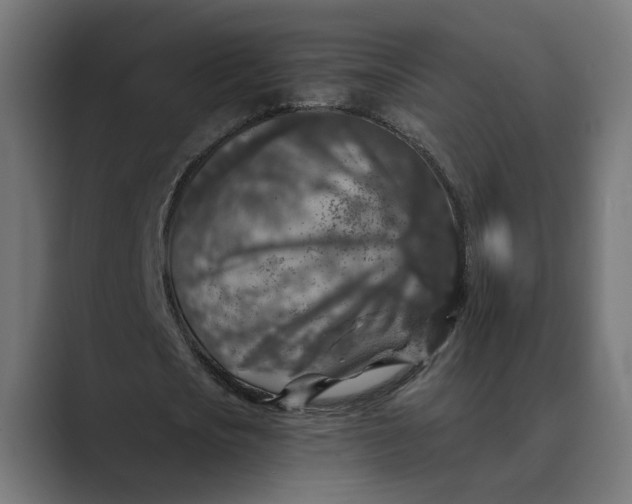 X0000088920721200706291526