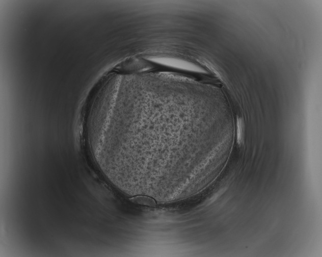 X0000088920723200706291526