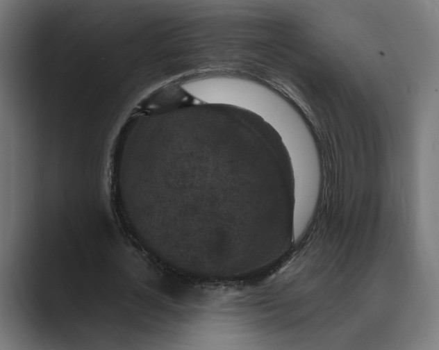 X0000088920724200706291526