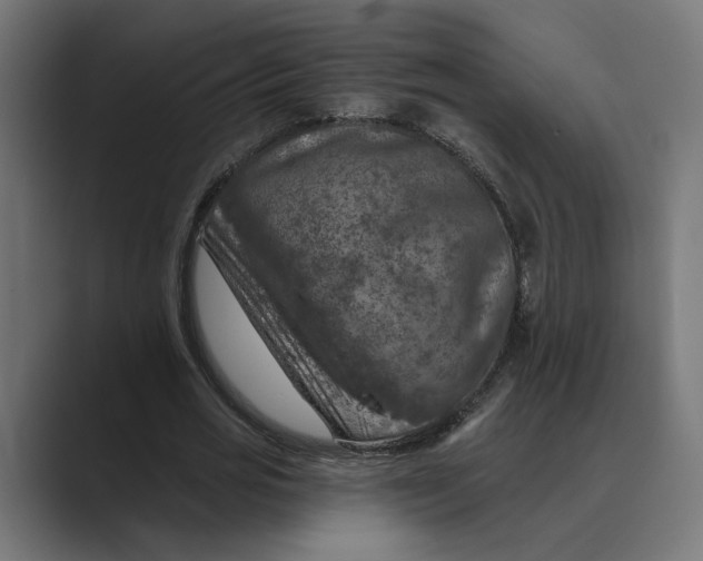 X0000088920725200706291526