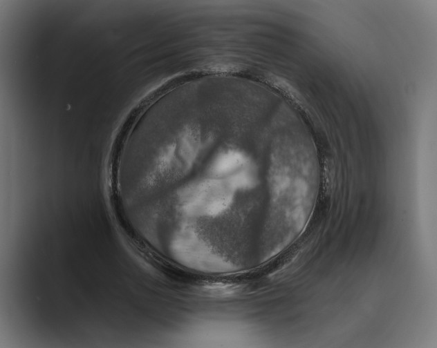 X0000088920726200706291526