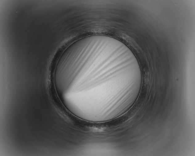 X0000088920727200706291527