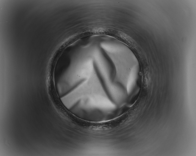X0000088920728200706291527