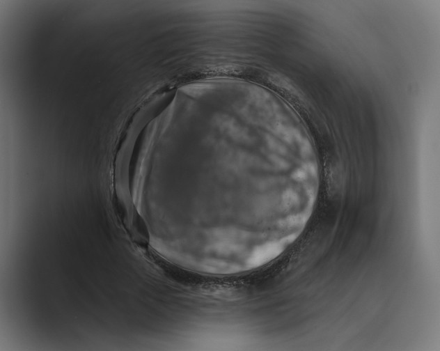 X0000088920729200706291527