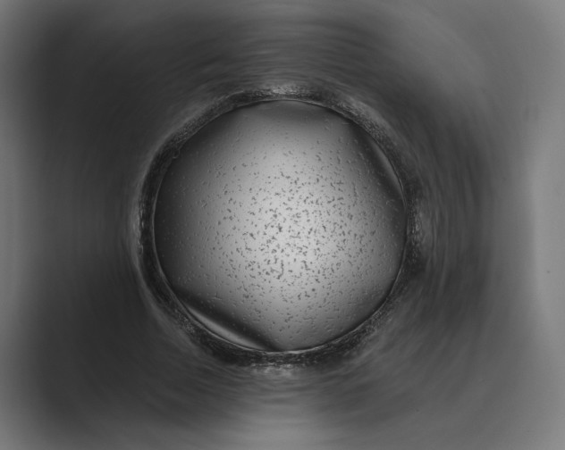 X0000088920730200706291527
