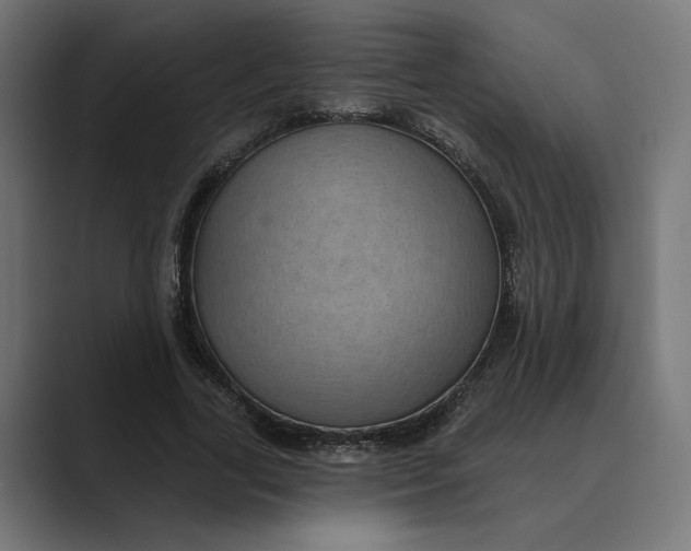 X0000088920731200706291527