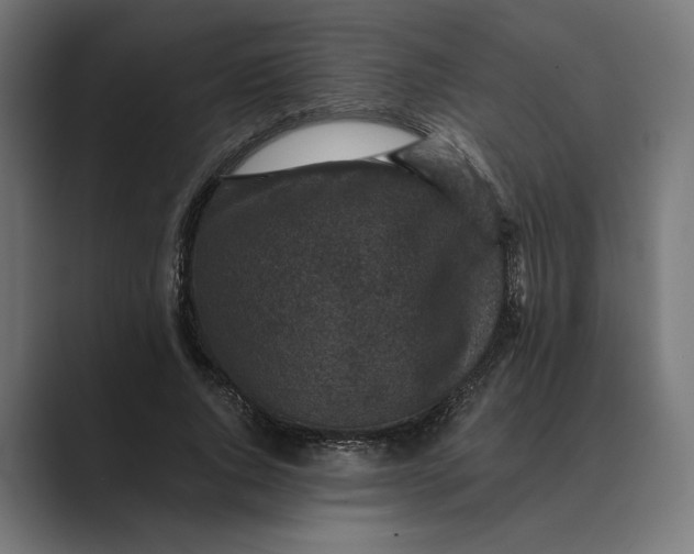 X0000088920736200706291527