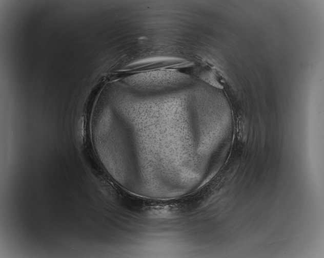 X0000088920740200706291527