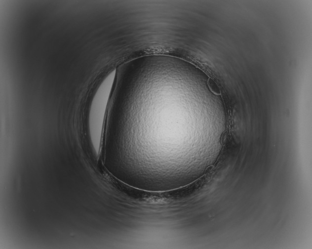 X0000088920742200706291527