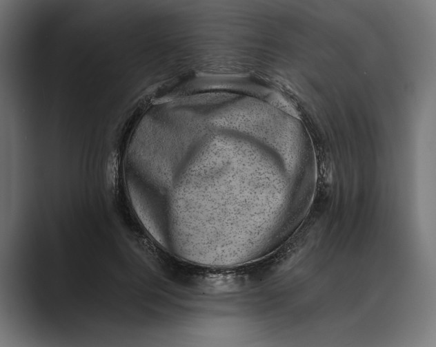 X0000088920744200706291527