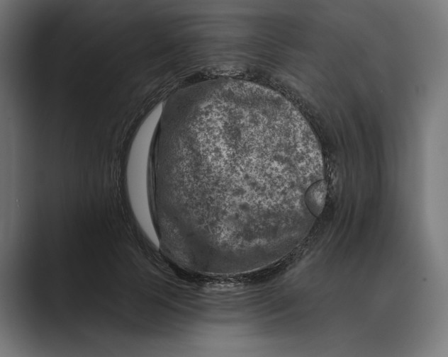 X0000088920745200706291527