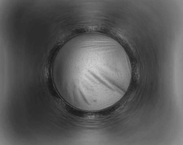 X0000088920746200706291527