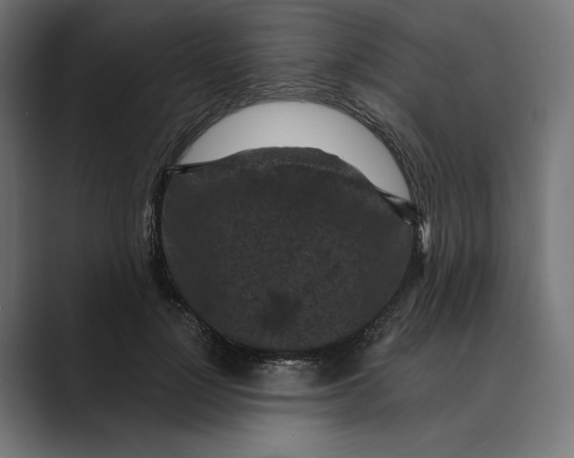 X0000088920748200706291527