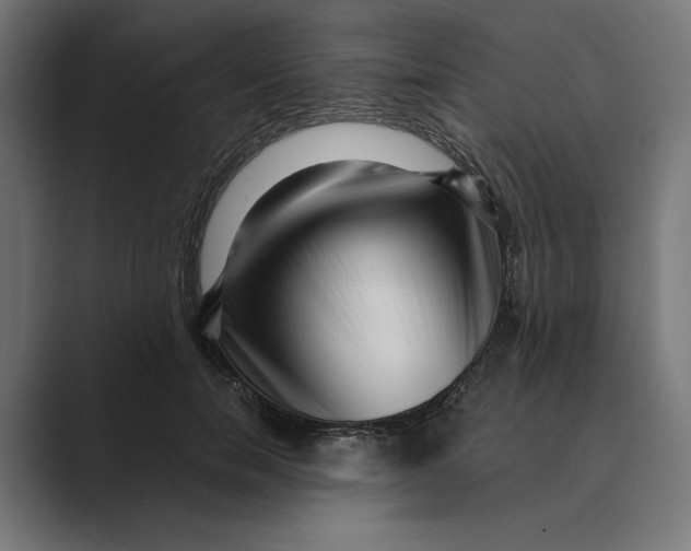 X0000088920750200706291527