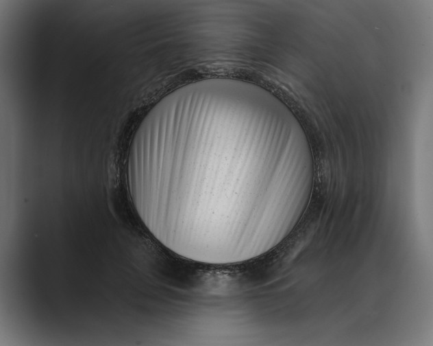 X0000088920751200706291527