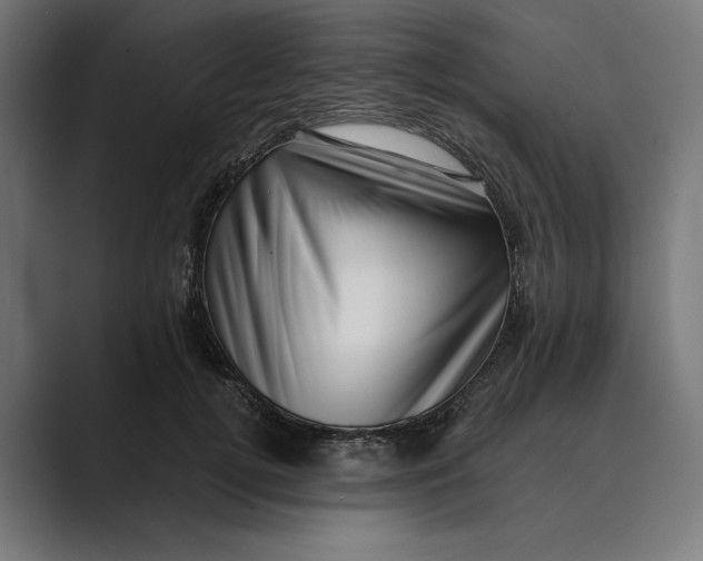 X0000088920752200706291527