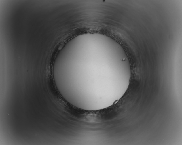 X0000088920756200706291527