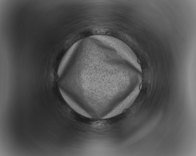 X0000088920761200706291527