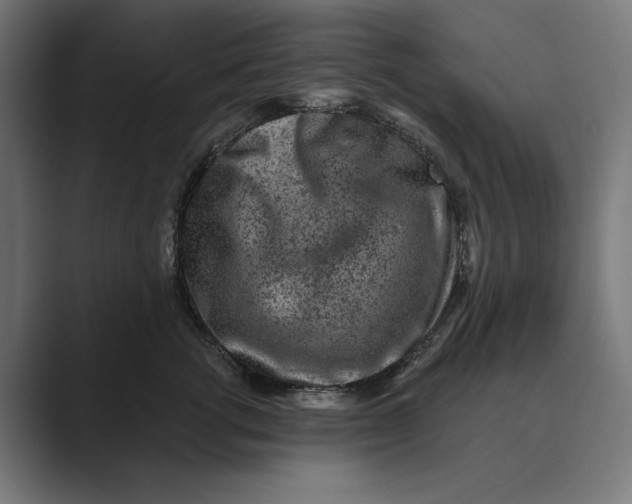 X0000088920762200706291527
