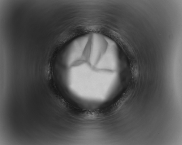 X0000088920764200706291527