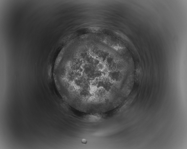 X0000088920765200706291527