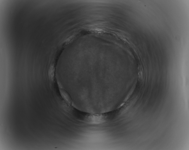 X0000088920767200706291527