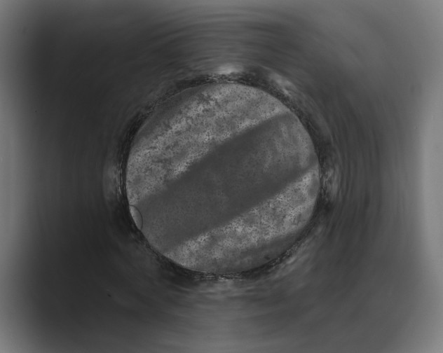 X0000088920772200706291526