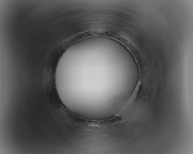 X0000088920773200706291526