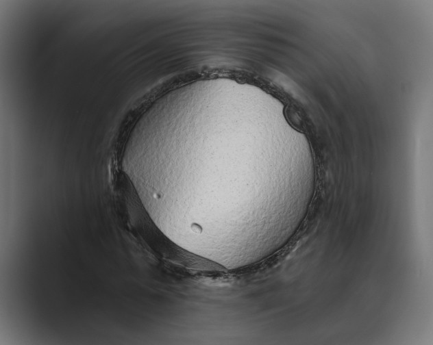 X0000088920775200706291526