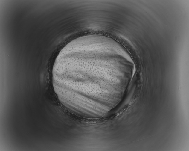 X0000088920776200706291526